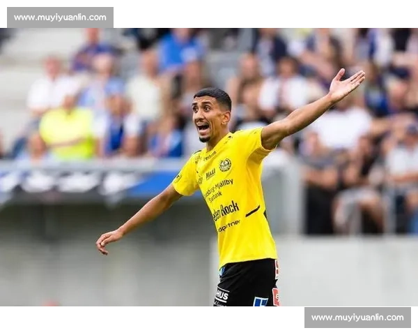 蓝十字对决波尔图赛前预测与走势深度解析关键因素与胜负前瞻