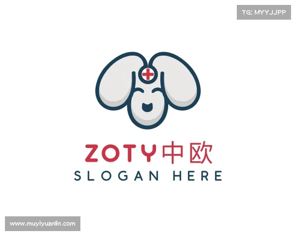 介绍zoty中欧